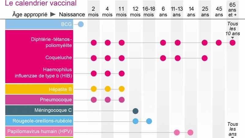 Vaccination calendrier bb